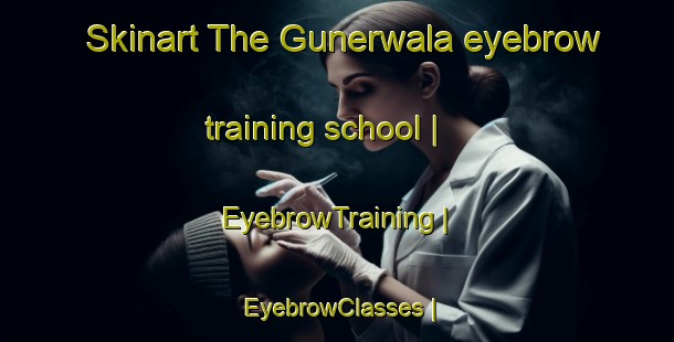 Skinart The Gunerwala eyebrow training school | EyebrowTraining | EyebrowClasses | SkinartTraining-Pakistan
